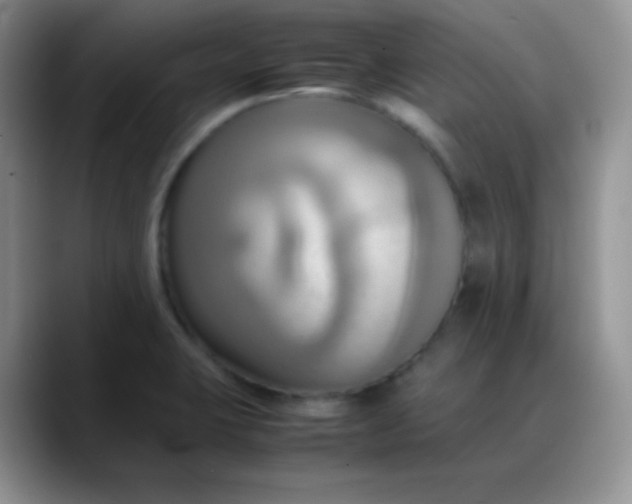 X0000088211423200705292043