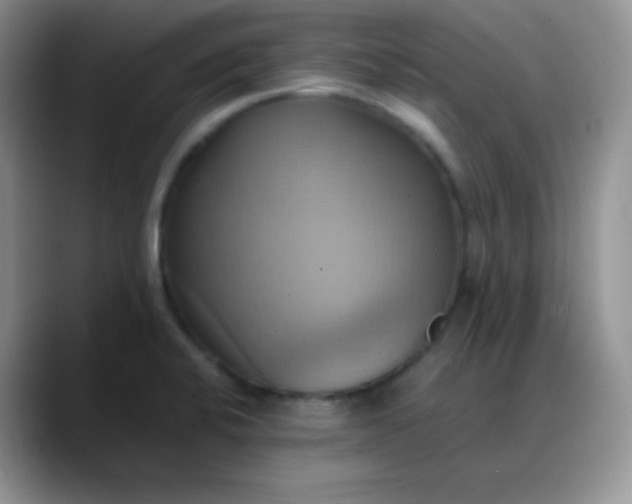 X0000088211424200705292043
