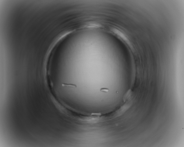 X0000088211426200705292043
