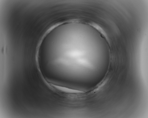 X0000088211429200705292043