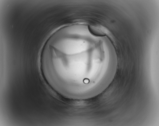 X0000088211431200705292043