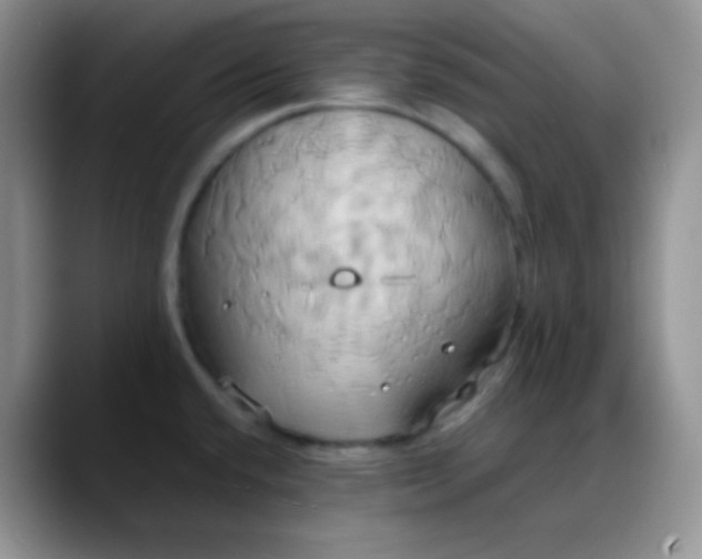 X0000088211432200705292043