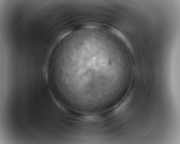 X0000088211433200705292044