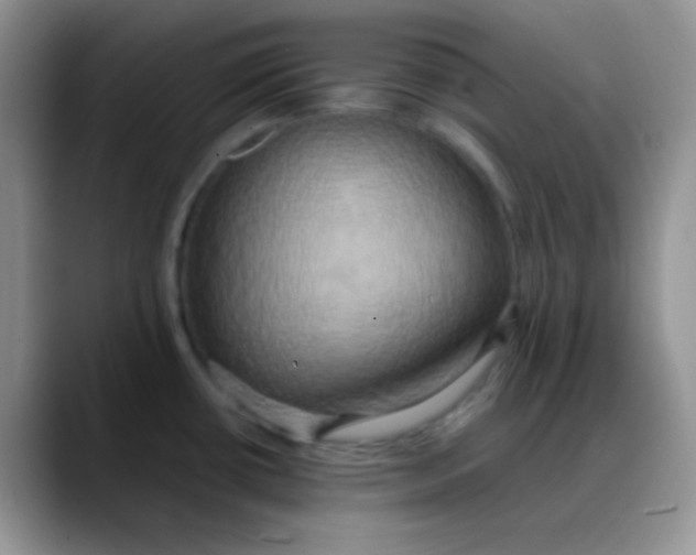X0000088211434200705292044