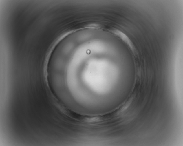 X0000088211435200705292044