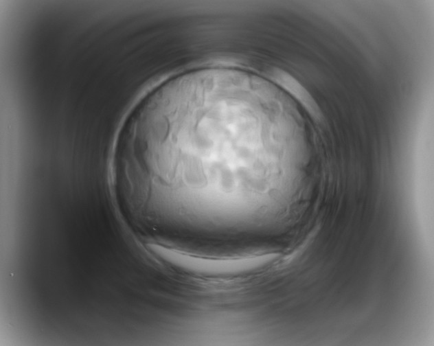 X0000088211436200705292044