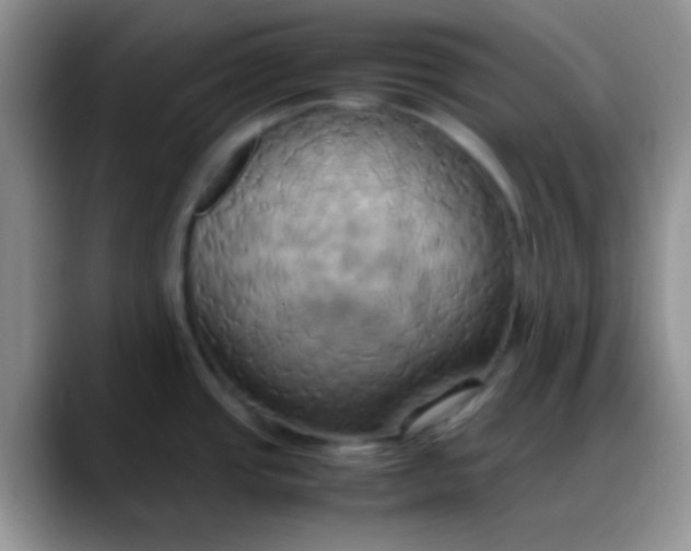 X0000088211437200705292044