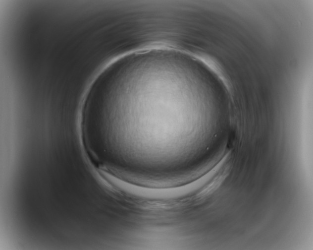X0000088211438200705292044