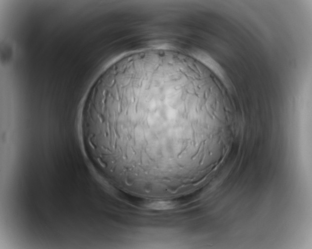 X0000088211439200705292044