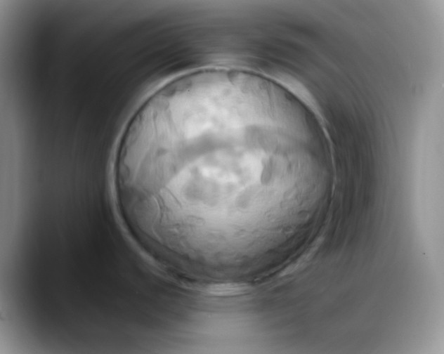 X0000088211440200705292044