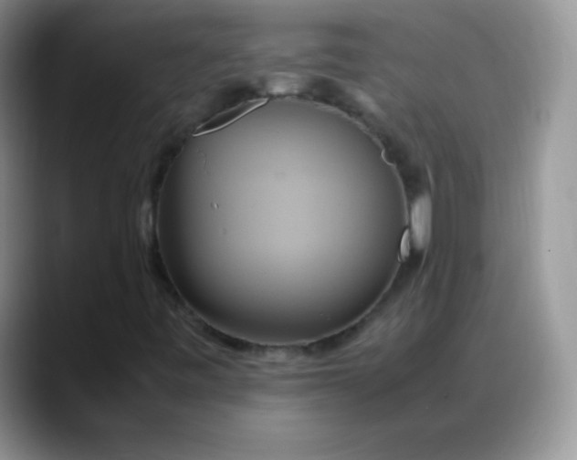 X0000088211443200705292043