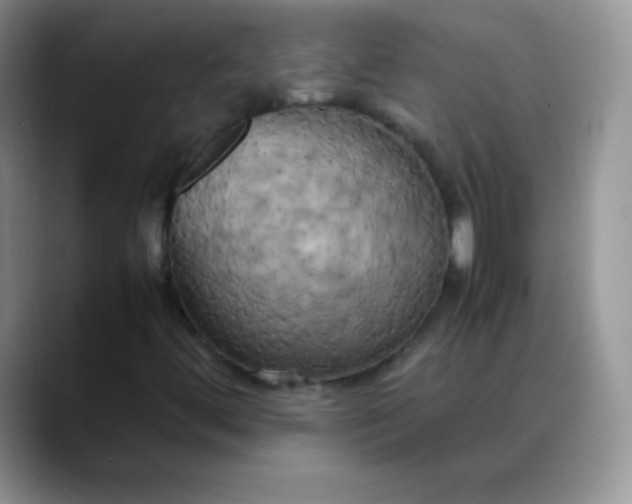 X0000088211444200705292043