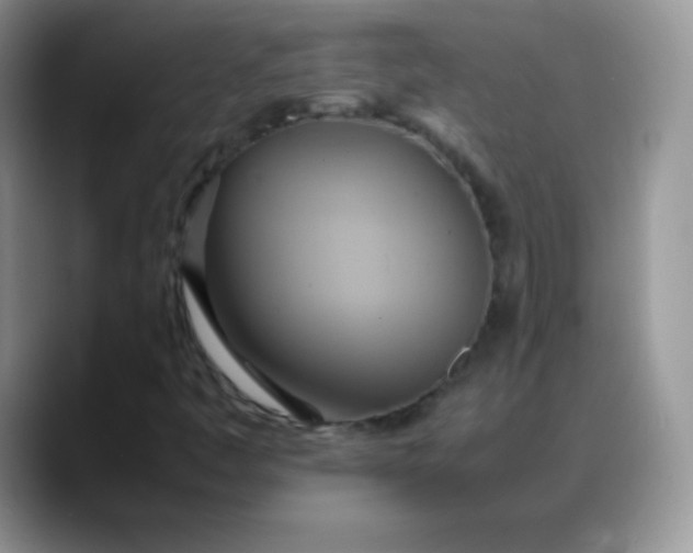 X0000088211445200705292043