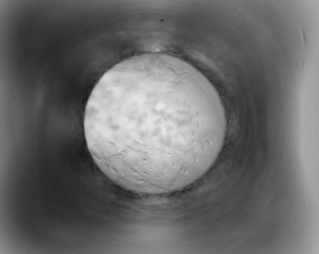 X0000088211446200705292043