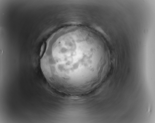 X0000088211448200705292043