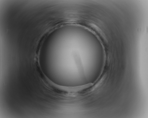 X0000088211449200705292043