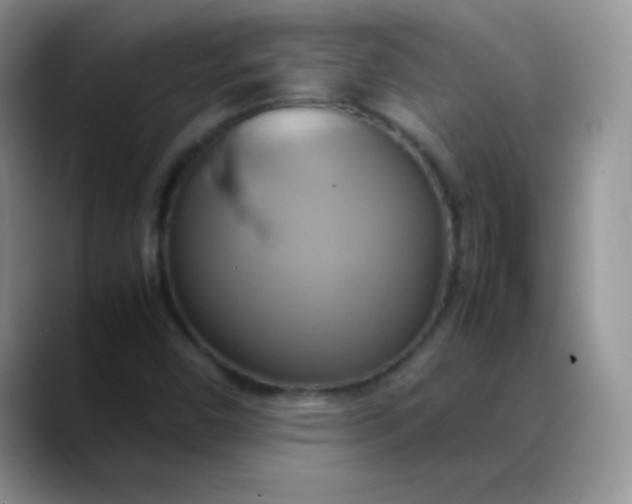 X0000088211450200705292043