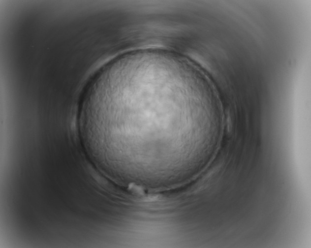 X0000088211452200705292043
