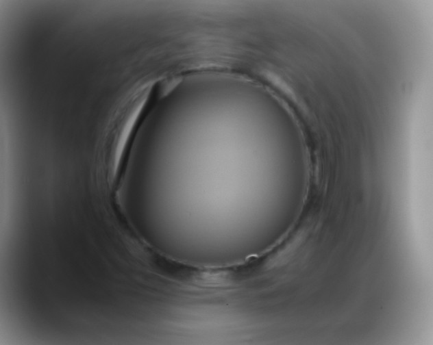 X0000088211453200705292043