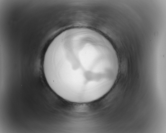 X0000088211454200705292043