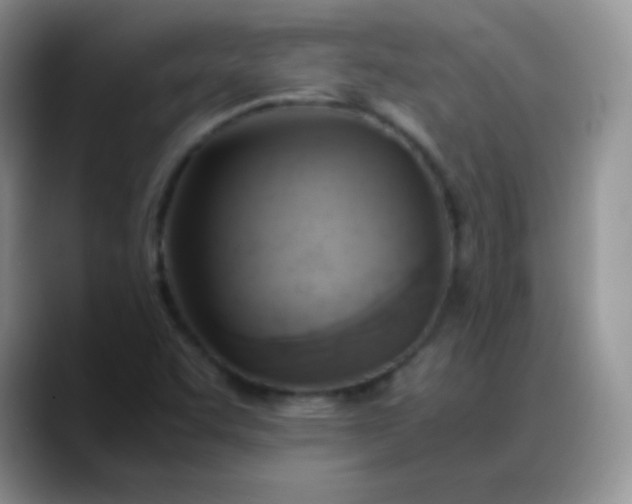 X0000088211455200705292043