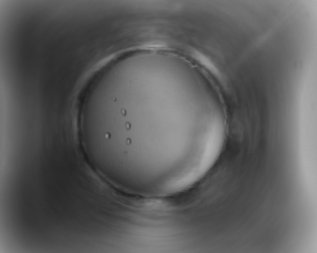 X0000088211456200705292043