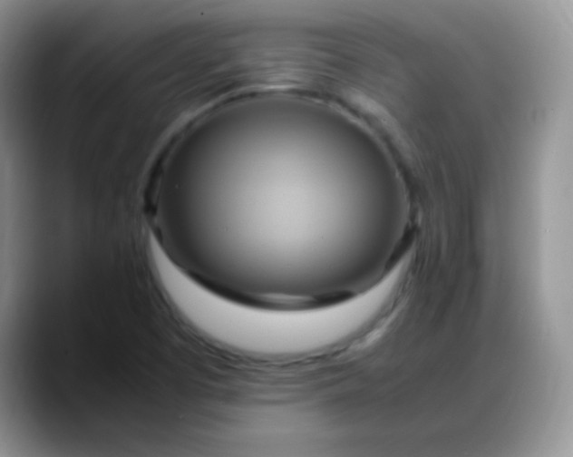 X0000088211457200705292043