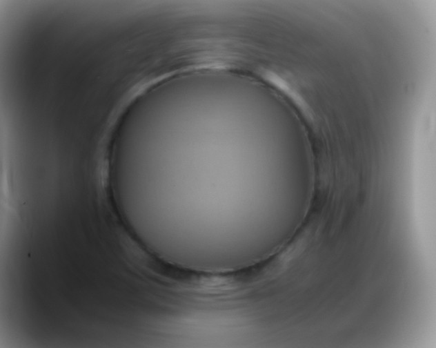X0000088211459200705292043