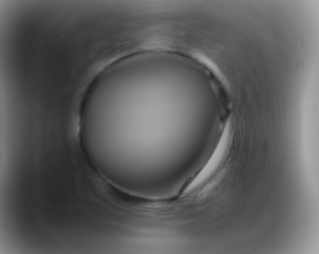X0000088211461200705292043