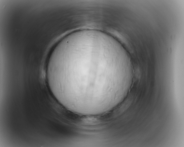 X0000088211462200705292043