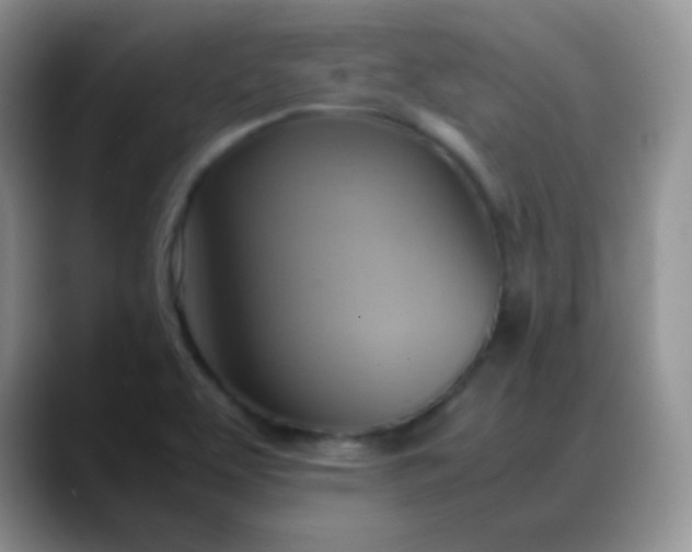 X0000088211463200705292043