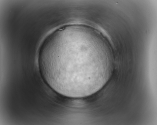 X0000088211464200705292043