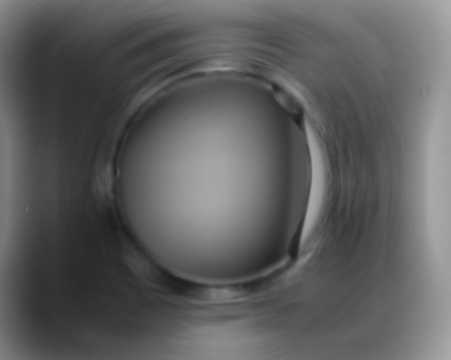 X0000088211465200705292043