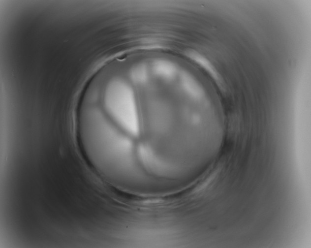 X0000088211467200705292043