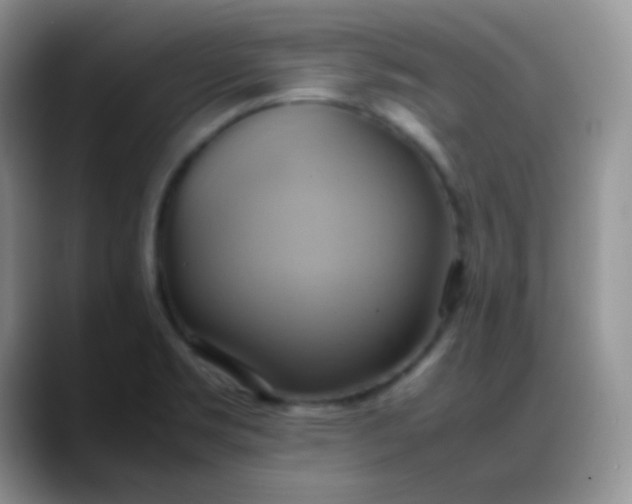 X0000088211469200705292043