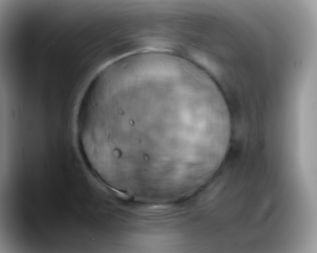X0000088211471200705292043