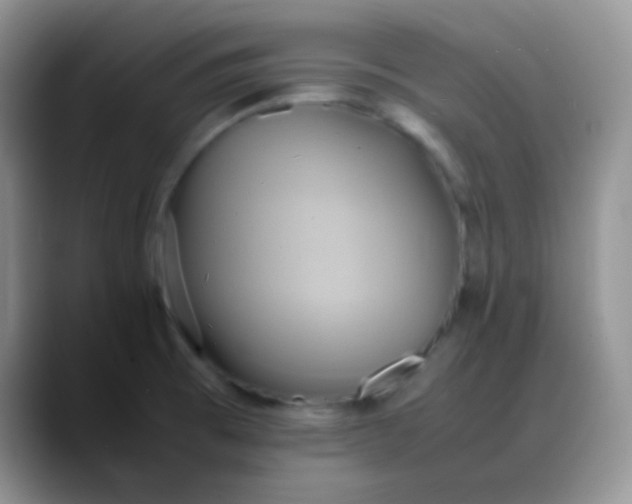 X0000088211473200705292043