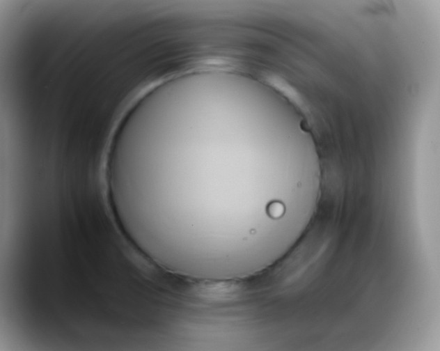 X0000088211474200705292043