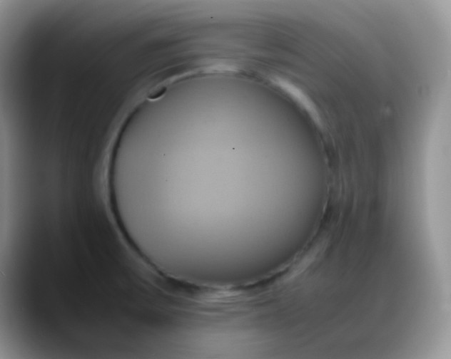 X0000088211475200705292043