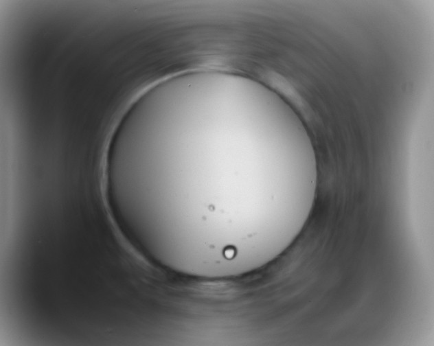 X0000088211479200705292042