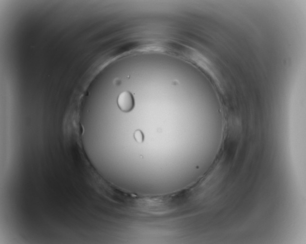 X0000088211481200705292042