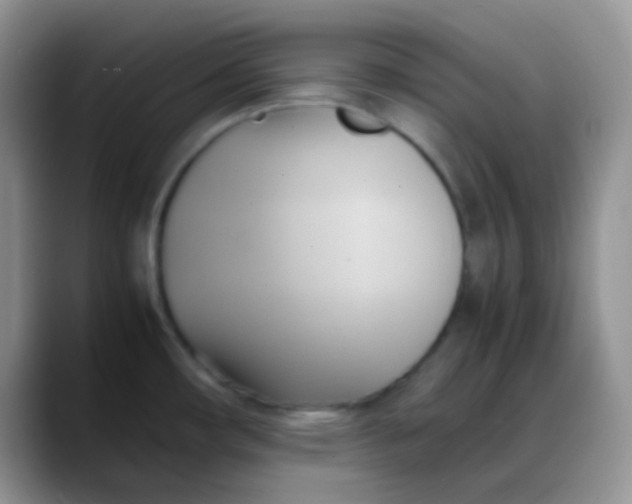 X0000088211482200705292042