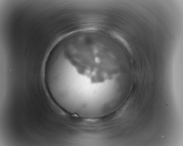 X0000088211483200705292042