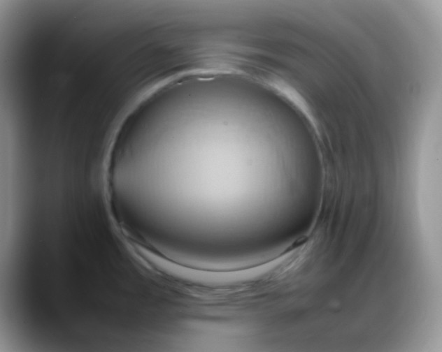 X0000088211485200705292042