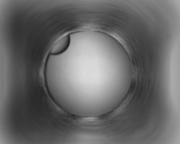 X0000088211486200705292042