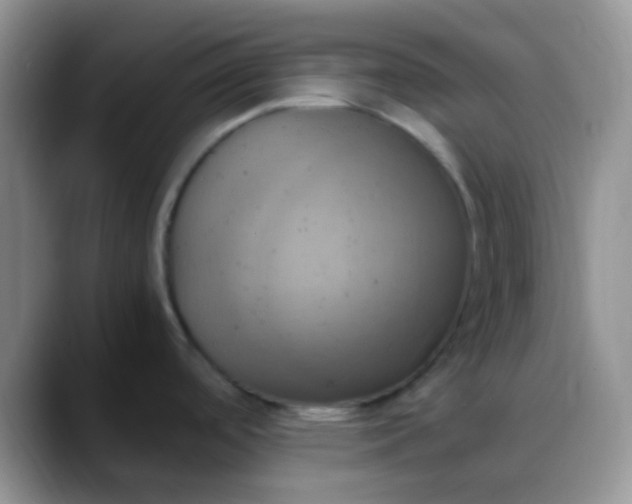 X0000088211488200705292042