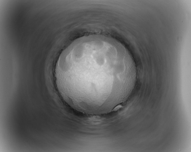 X0000088211489200705292042