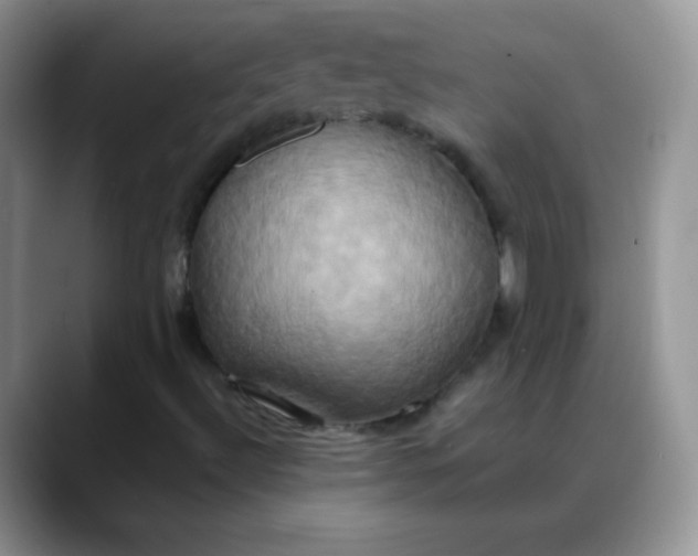 X0000088211492200705292042