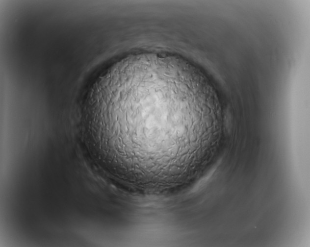 X0000088211494200705292042