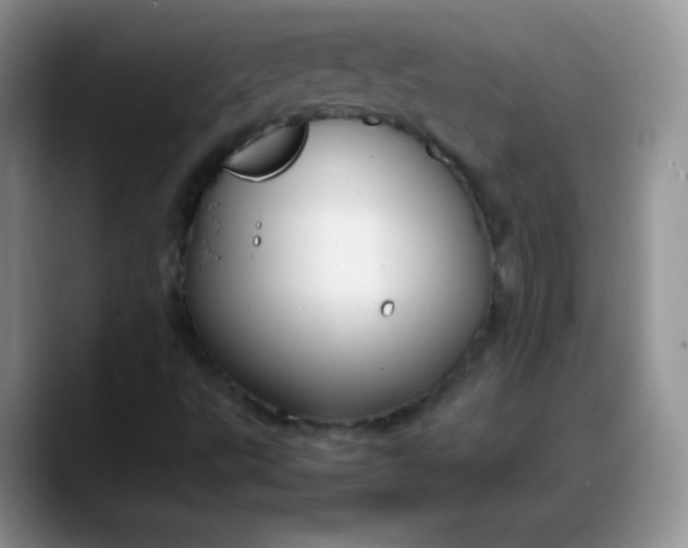 X0000088211495200705292042